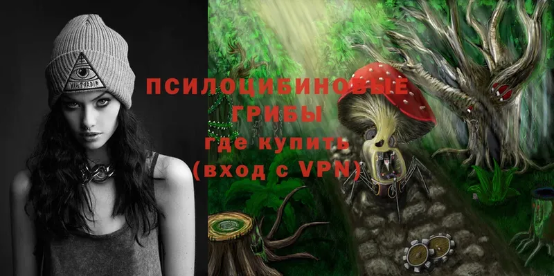 Псилоцибиновые грибы Magic Shrooms  Губкинский 